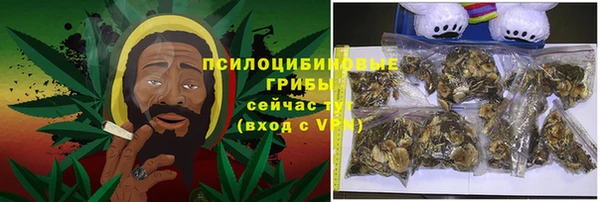 ГАЛЛЮЦИНОГЕННЫЕ ГРИБЫ Осинники
